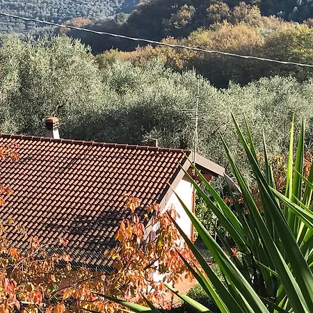 Casa Regina Degli Ulivi Сasa de vacaciones